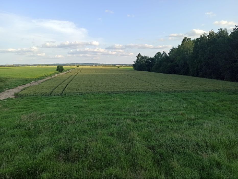Działki budowlane w Zawadach
