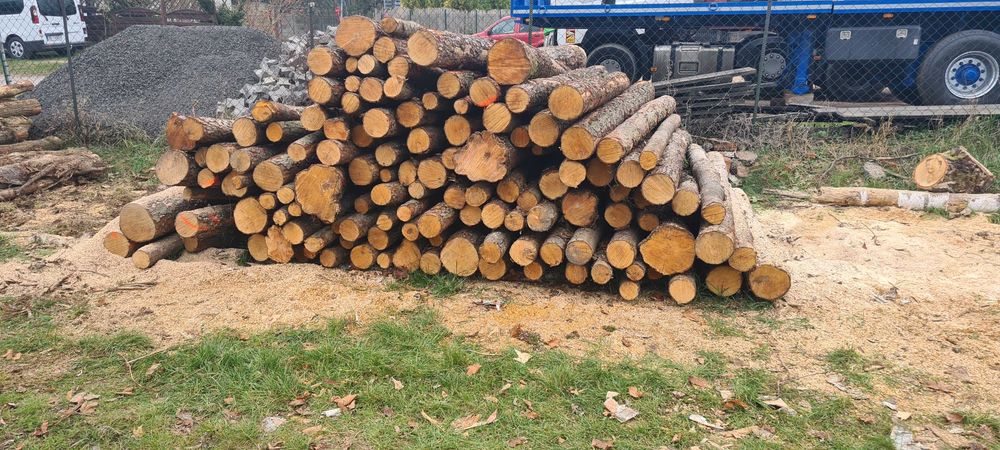 Drewno kominkowe opałowe