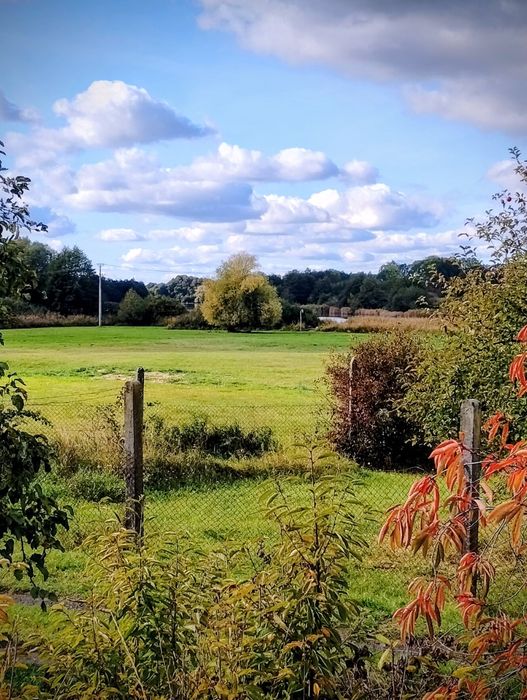 Dwie działki ogrodowe ROD z widokiem na łąkę