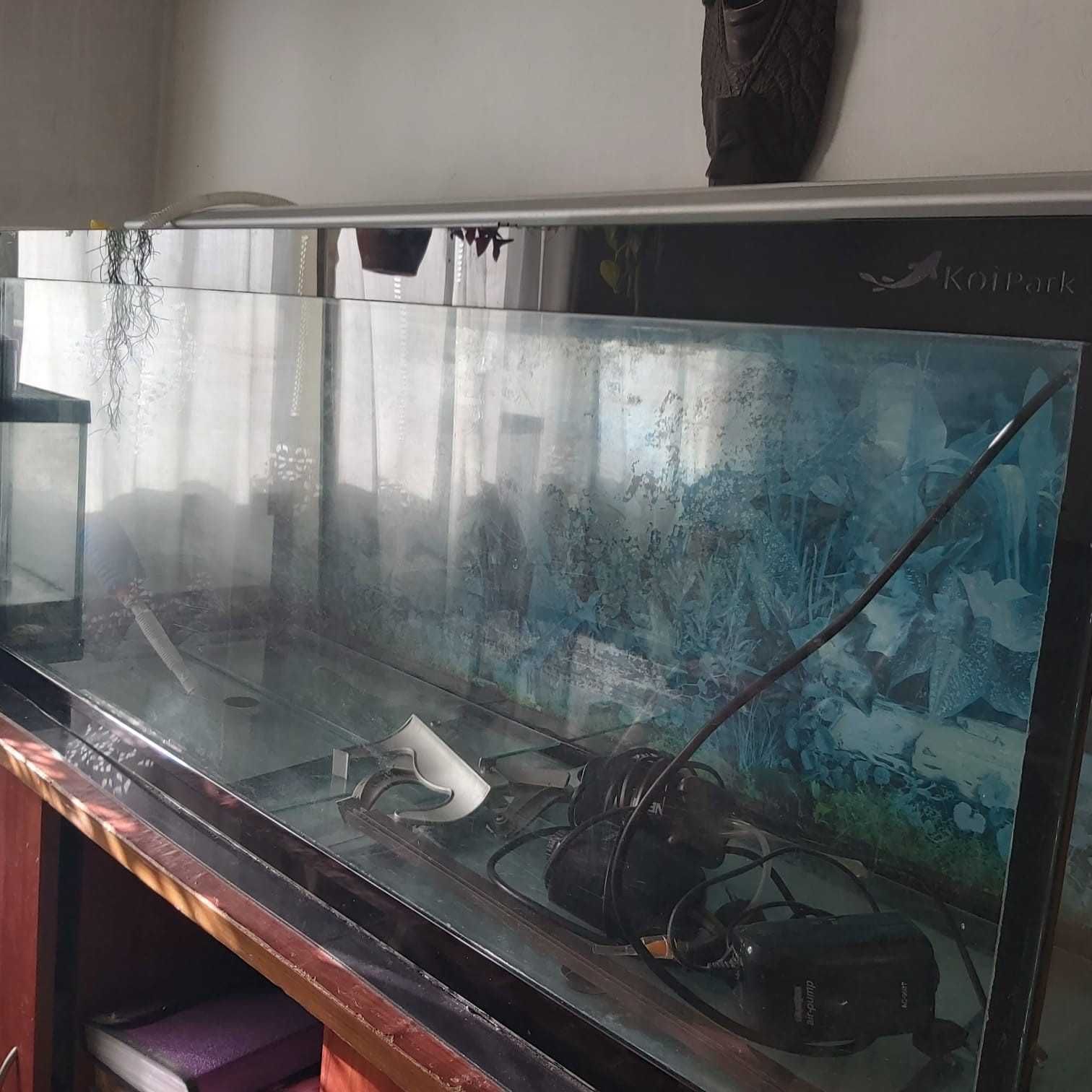 Aquario + acessórios
