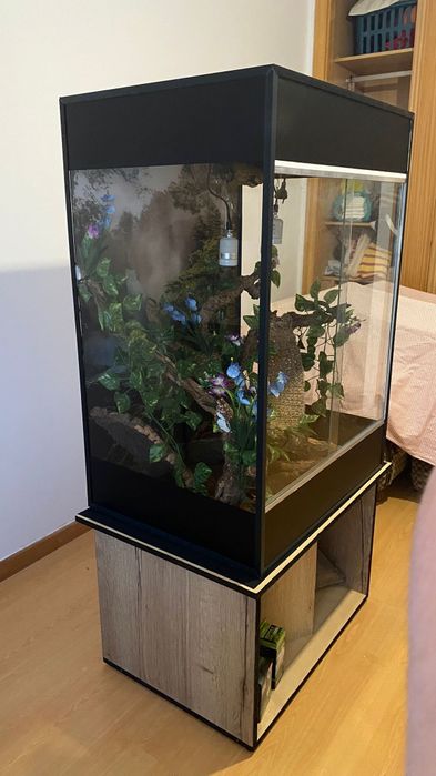 Terrário Repteis Novo
