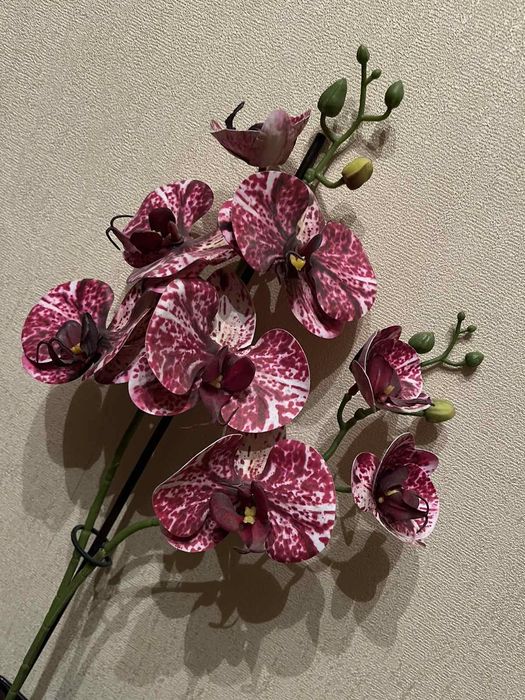 Орхидея фаленопсис искусственная композиция в горшке .Кошка статуэтка