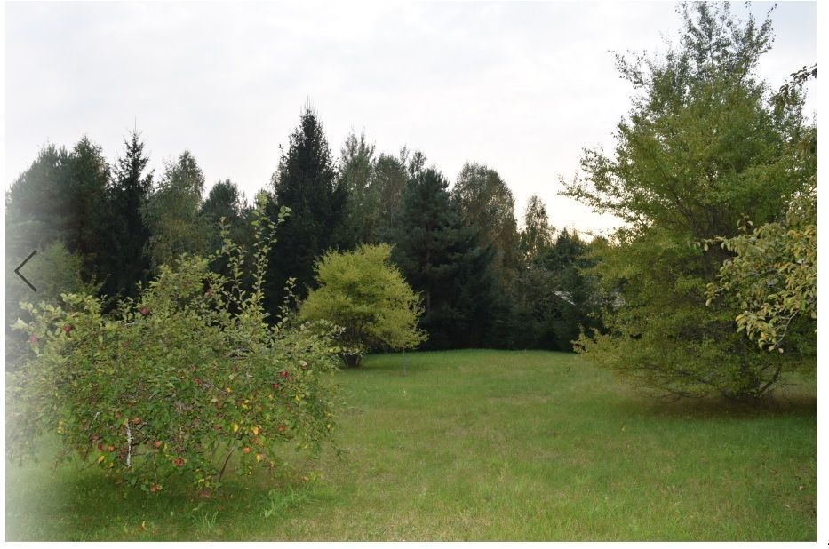 Działka w Puszczy Knyszyńskiej, Zapiecek, Wasilków – 3305 m²