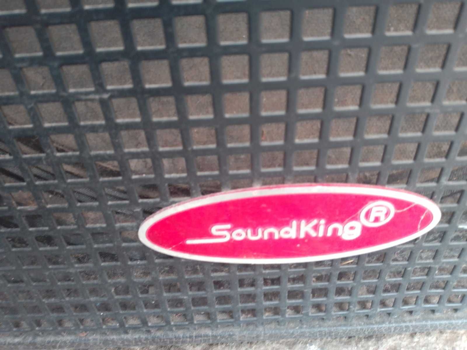 Колонки  SoundKing
