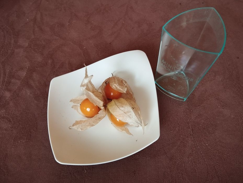 Pratos de degustação gourmet