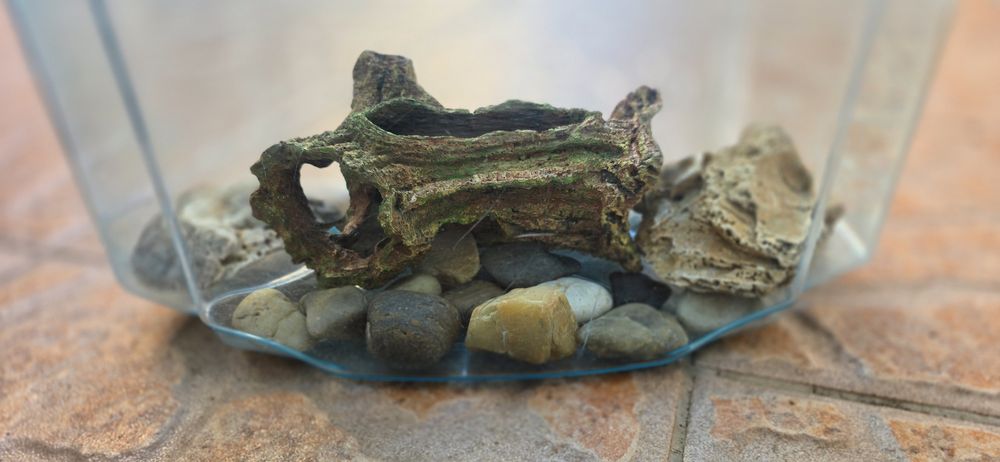 Aquário/terrário/reptilario "Living World"