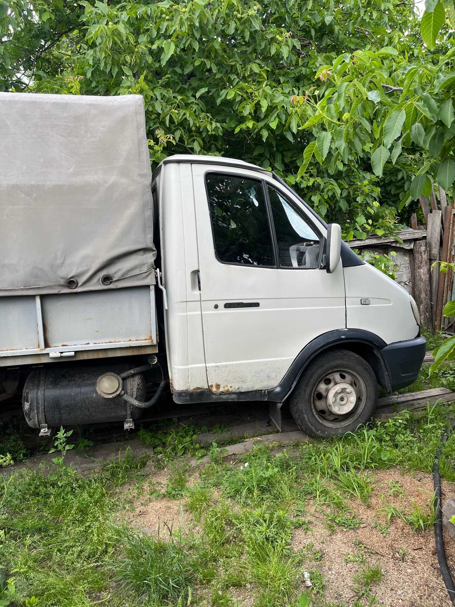 Газелька в чудовому стані