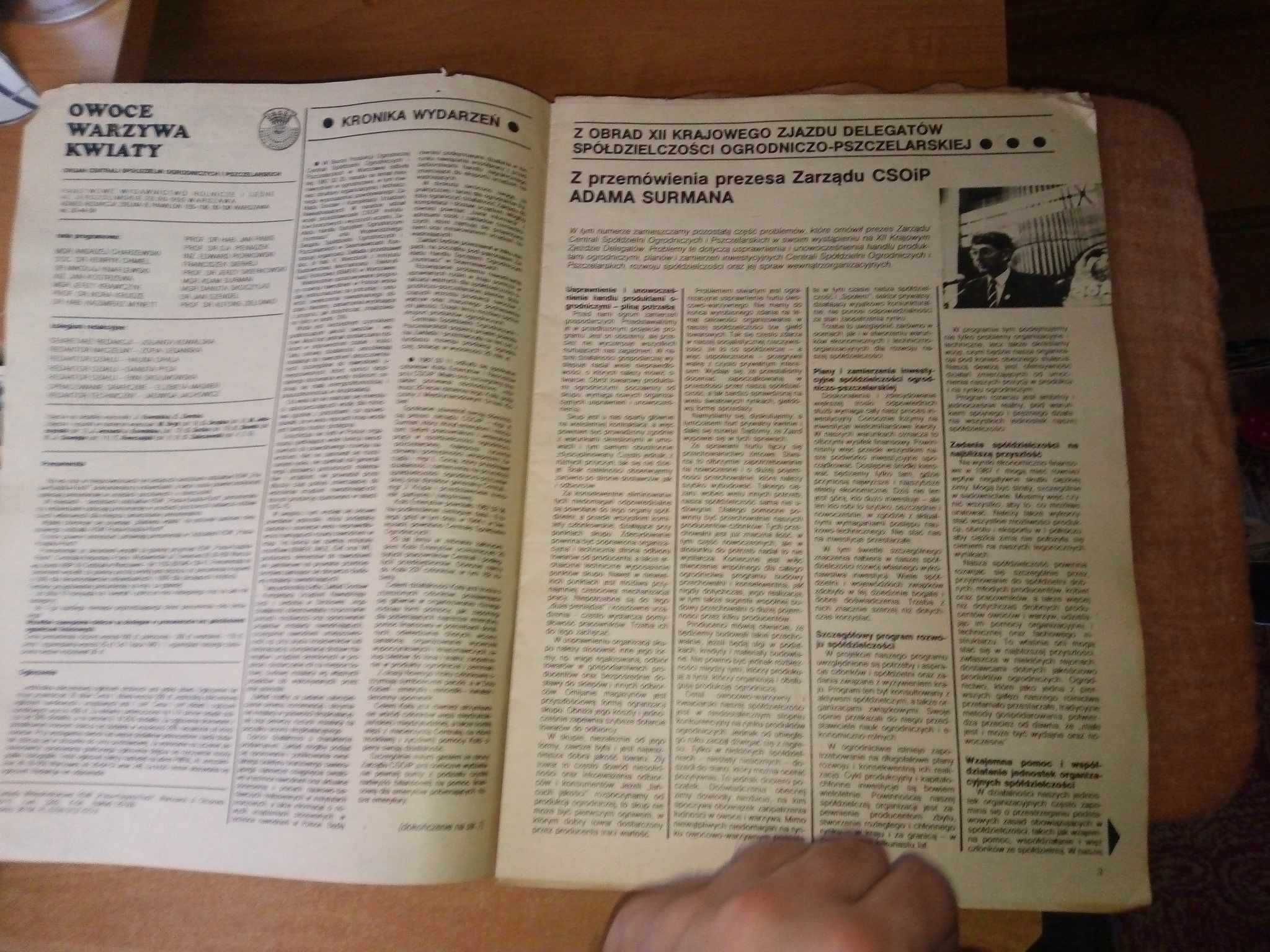 Owoce warzywa kwiaty dwutygodnik 9 1987 ogrodniczy gazeta czasopismo