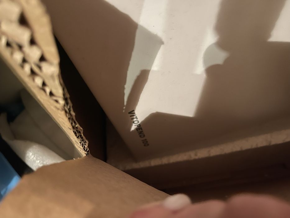 Viessmann vitopend 100