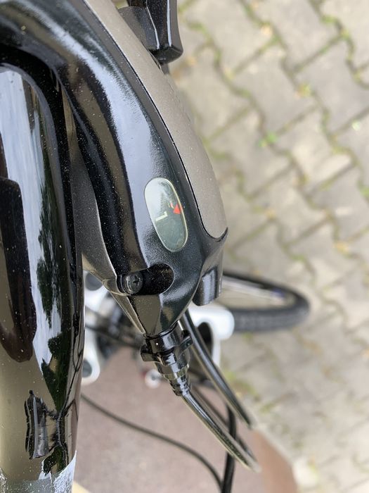 Rower trekkingowy Pegasus