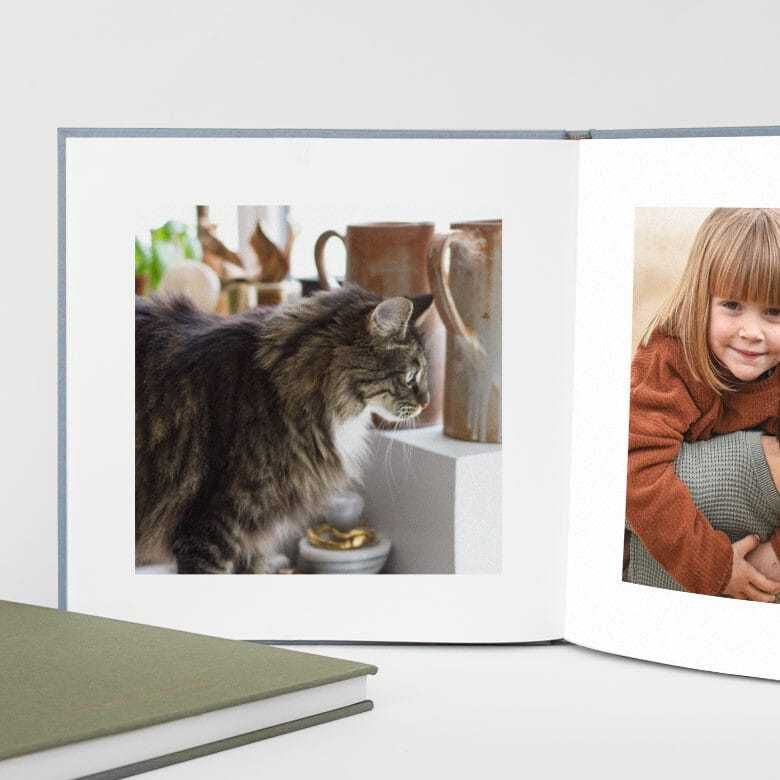 Sessão de fotografia + álbum profissional de animais de estimação