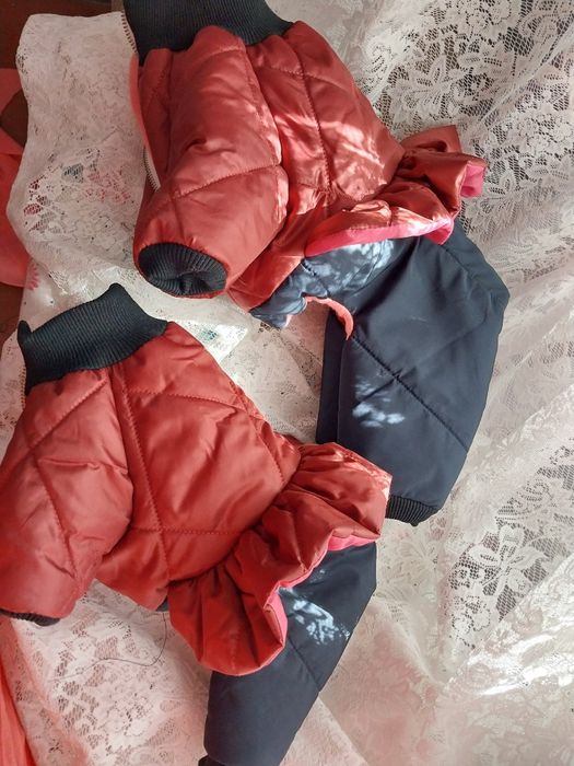 Одежда для маленьких собак