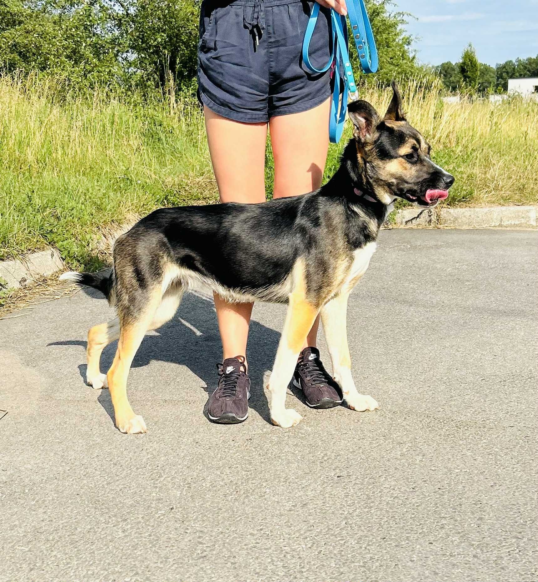 Wspaniała Nela szuka swojego Człowieka