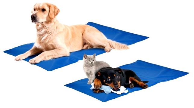 Żelowa Mata Chłodząca dla psa i kota 40 x 50 cm Legowisko
