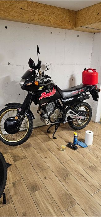 Honda dominator 500
