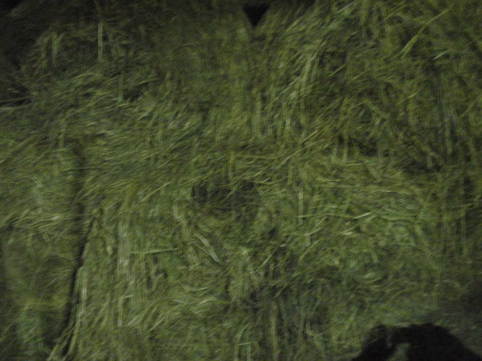 Siano, Słoma bale baloty dobrej jakości pod dachem załadunek transport
