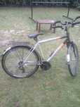 Rower treningowy koło 28