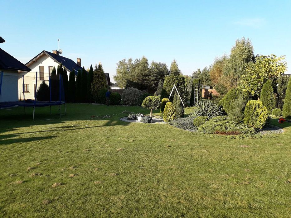 sprzątanie usuwanie rozdrabnianie gałęzi z działek rębakiem Lutomiersk