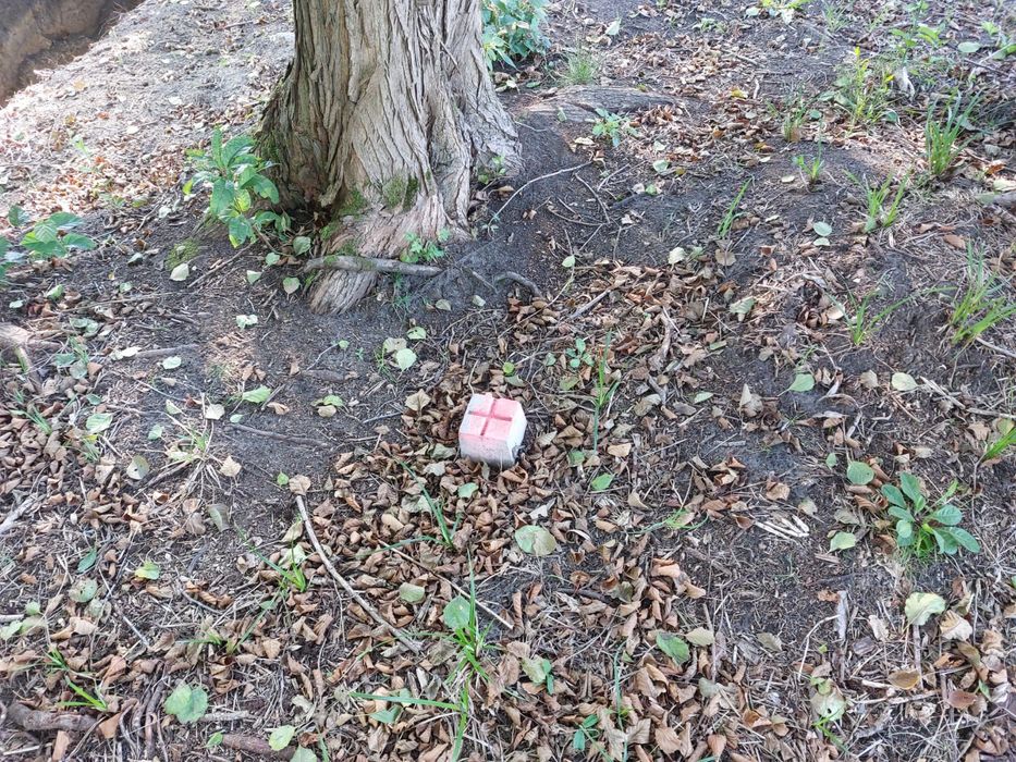 Wyjątkowa działka na sprzedaż