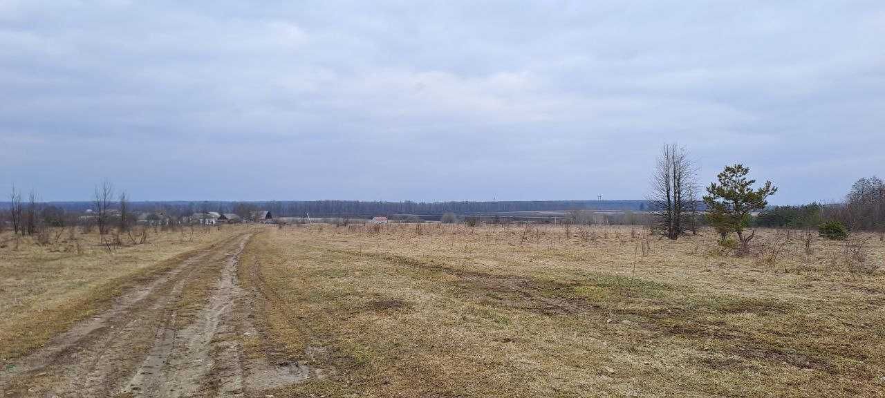 Продаж ділянки с/г в селі Широка Гребля
