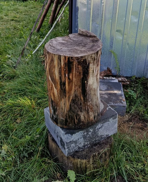 Pieniek do siekania drewna na grilla + betonowy klocek podstawa Toruń