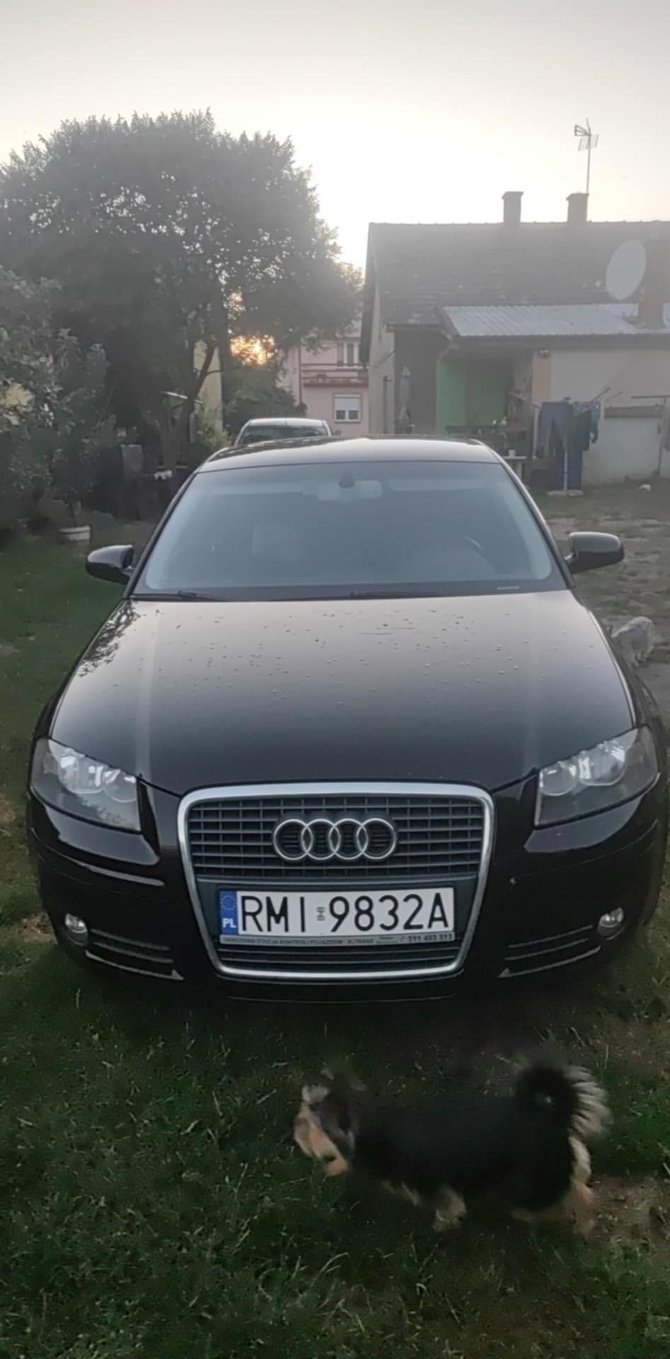 Audi A3 8p 170km 2.0 tdi