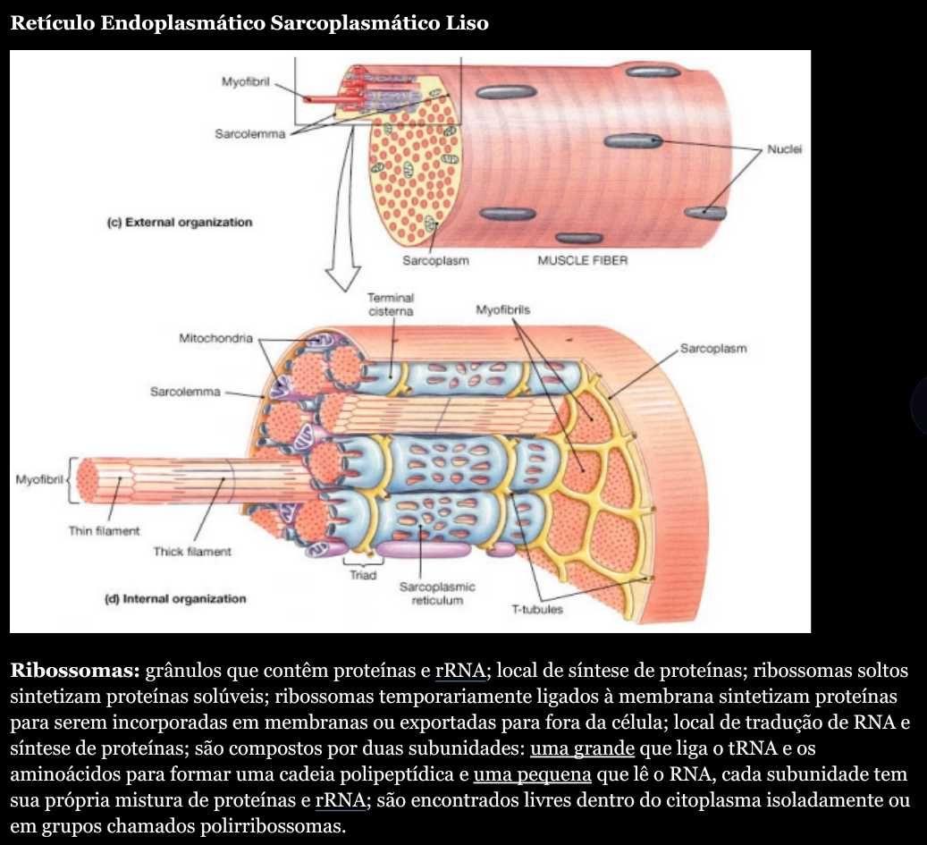 Resumos Completos de Bioquímica e Biologia Celular