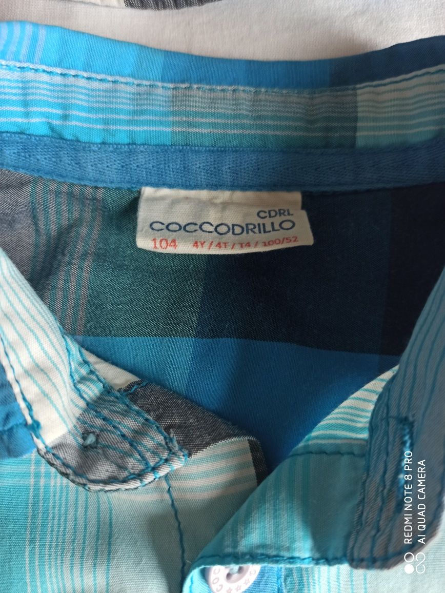 Niebieska koszula w kratkę firmy Coccodrillo rozm. 104 + kapelusik
