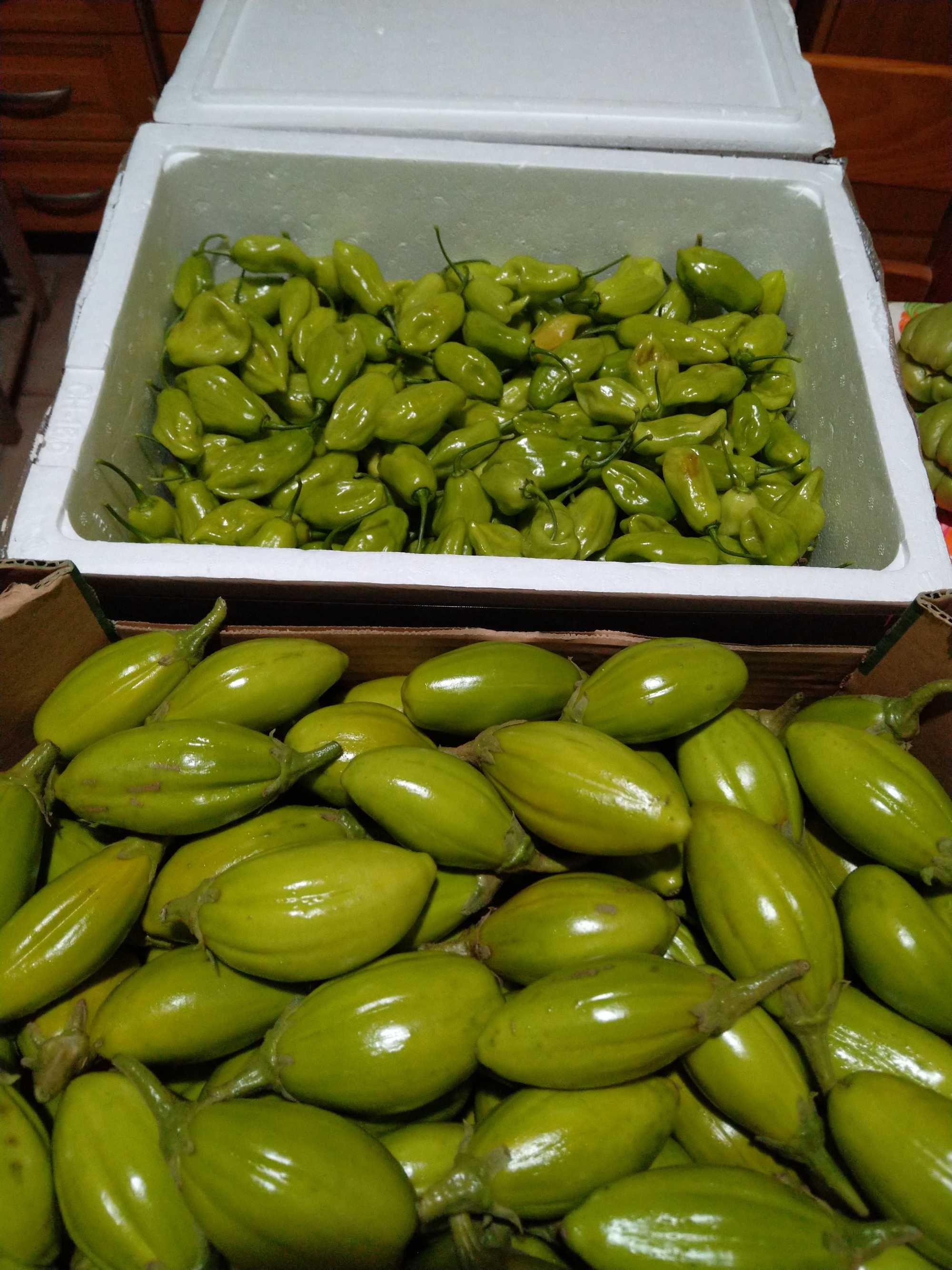 Pimenta várias variedades