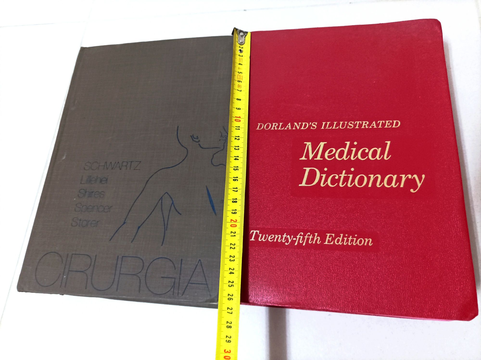 Dicionários antigos para efeitos decorativos (vintage)