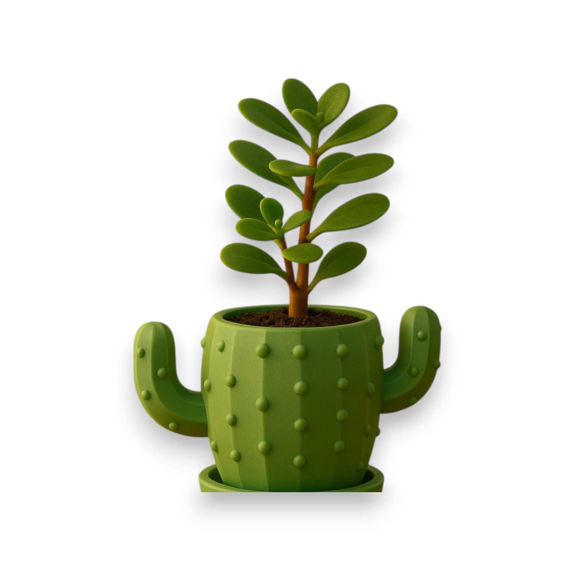 Vasos de Planta Impressão 3D - Diversos Designs Exclusivos