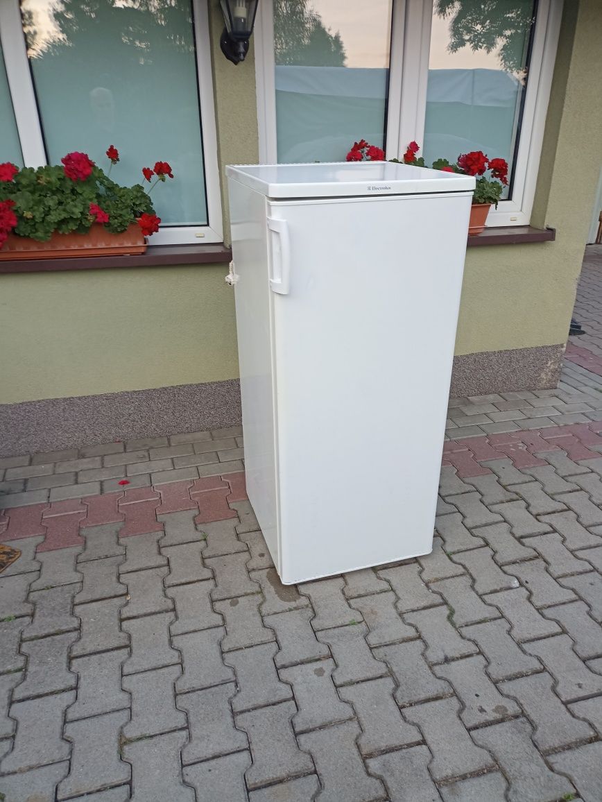 Lodówka chłodziarka mala 125 cm