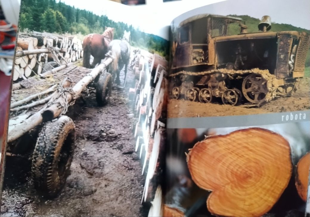 Bieszczady. Eta Zaręba. Piękny mini album