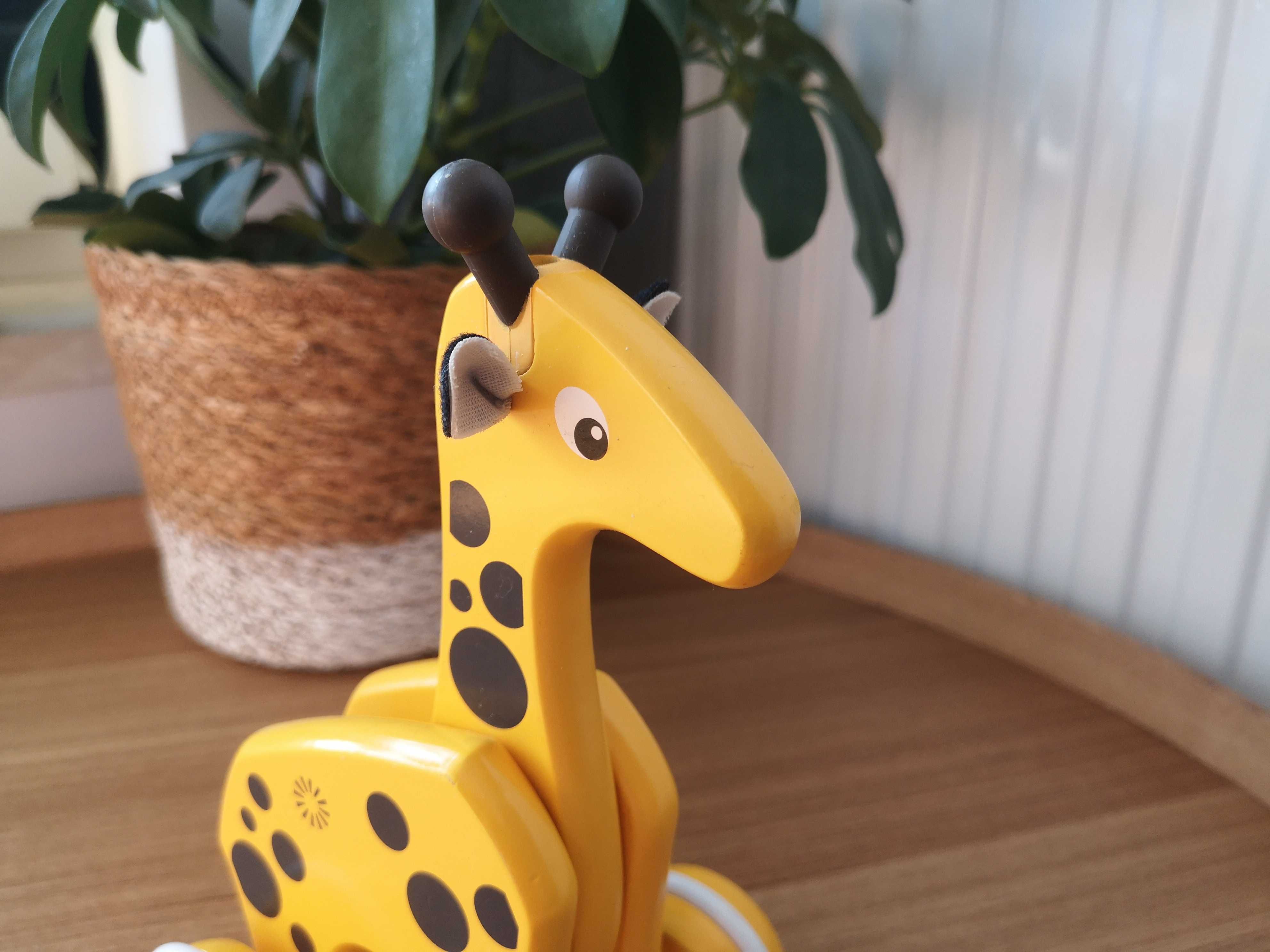 BRIO Drewniana Żyrafa na kółkach - zabawka do ciągnięcia Montessori