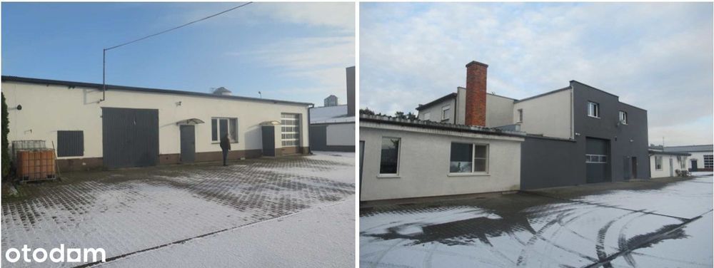 Kurniki na sprzedaż - Rostarzewo