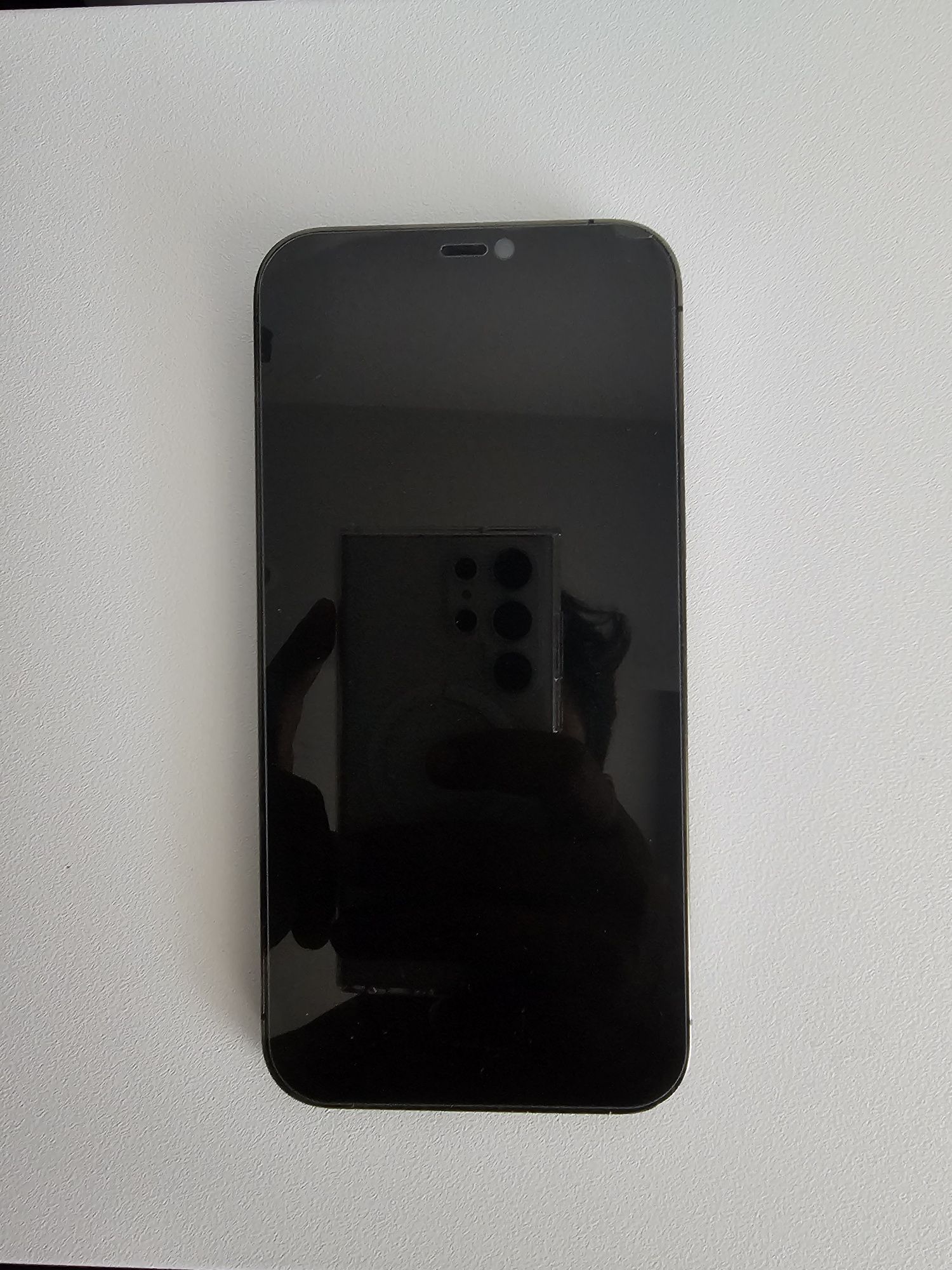 Iphone 12 Pro Max 256gb