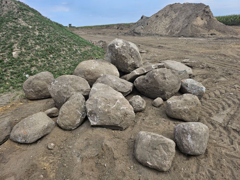 Kamienie polne różne