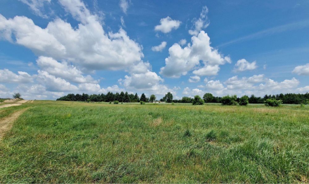 Działka budowlna 38500m2 Sokolniki - 40zł/m2 możliwość podziału