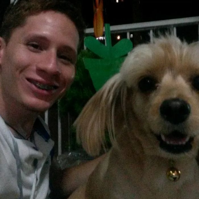 Caminhada feliz para o seu pet