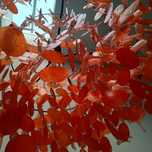 Candeeiro com folhas de vidro vermelho