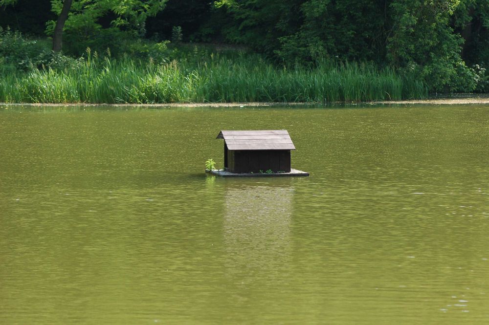 Nikon AF Nikkor 70-300mm 1:4-5.6G