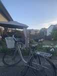 Rower sparta  holenderski