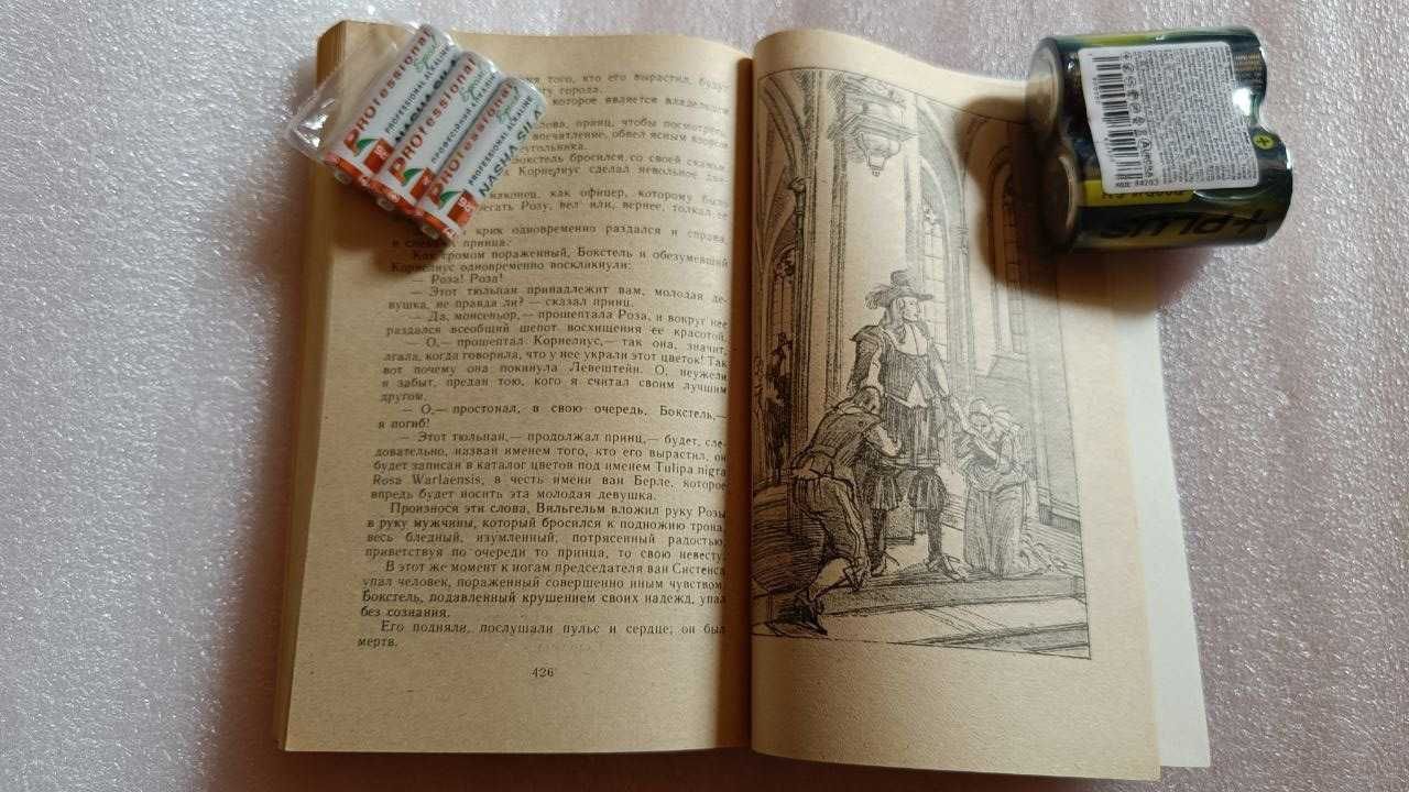 Александр Дюма Учитель фектования Черный тюльпан Новая