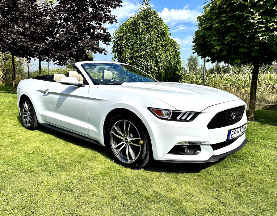 Wypożyczalnia aut premium Audi RS Q8 wynajem VIP promocja 30dni 21900!