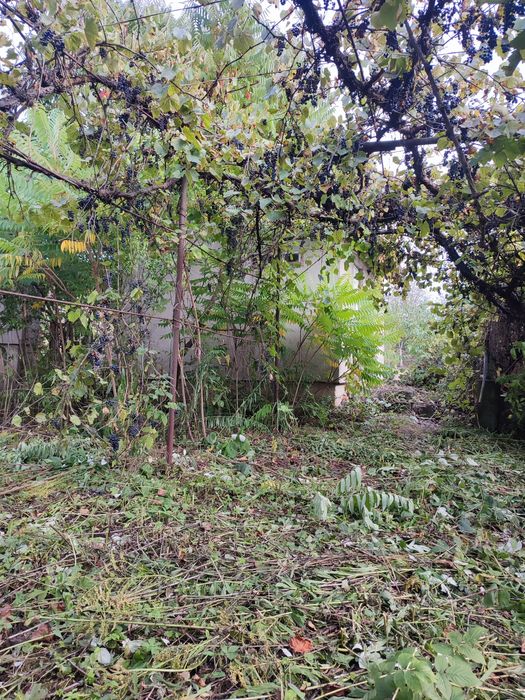 Продаж ділянка та дачний будинок вул.Набережна