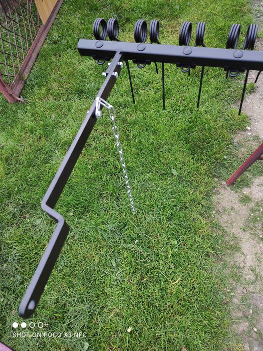 Grabki/ Zagarniacze/ Bronki Poznaniak