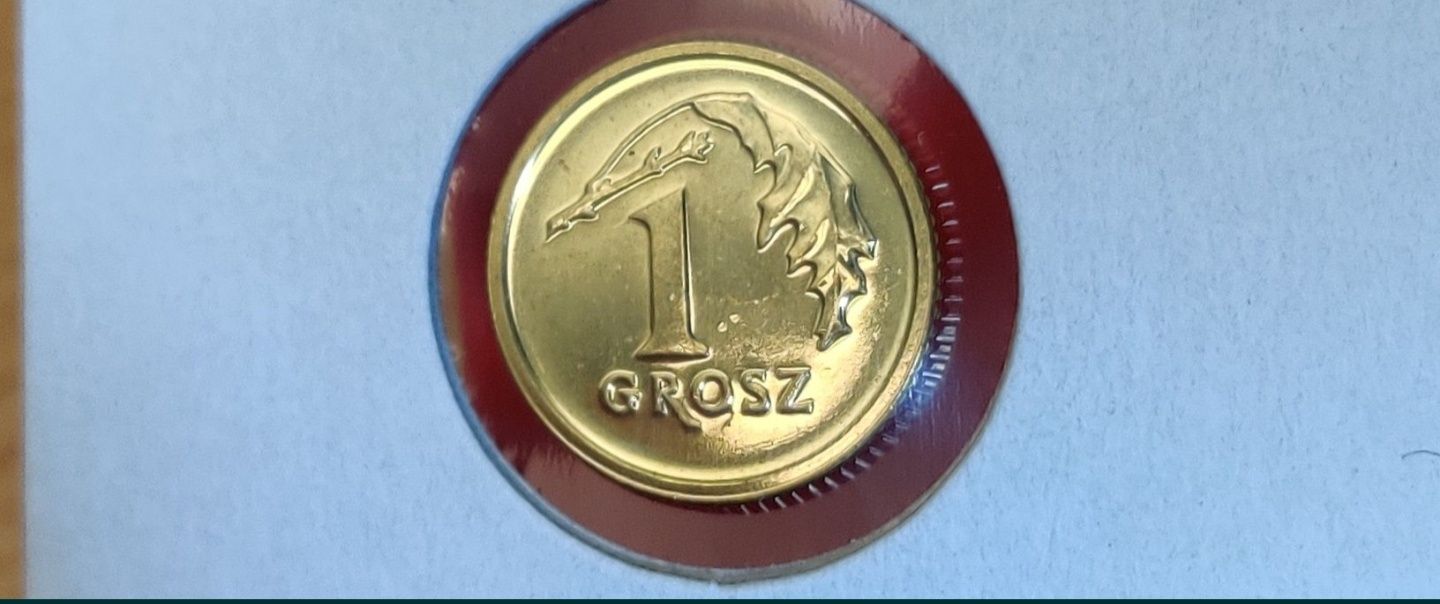 1 grosz 2013 Royal Mint stan 1