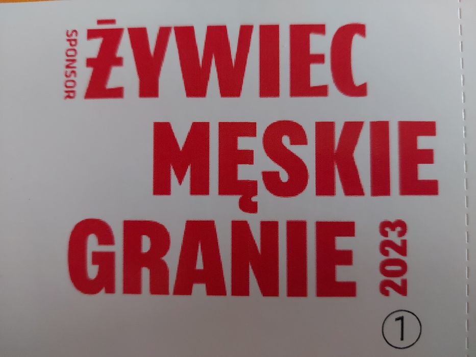 Bilety Męskie Granie - Żywiec. Bezimienne