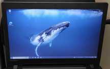 Laptop Lenovo B71-80 i5-6200U 8GB 1TB MAT