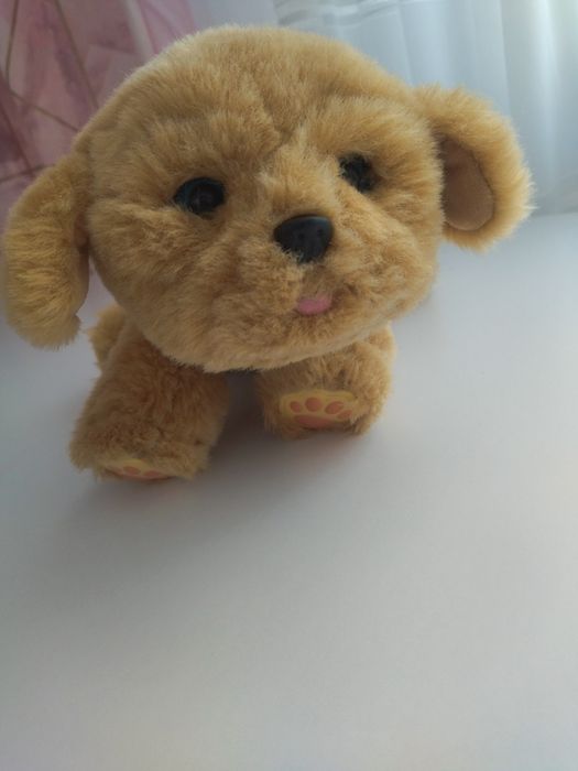 Жива іграшка інтерактивний собачка цуцик Moose Little Live Pets